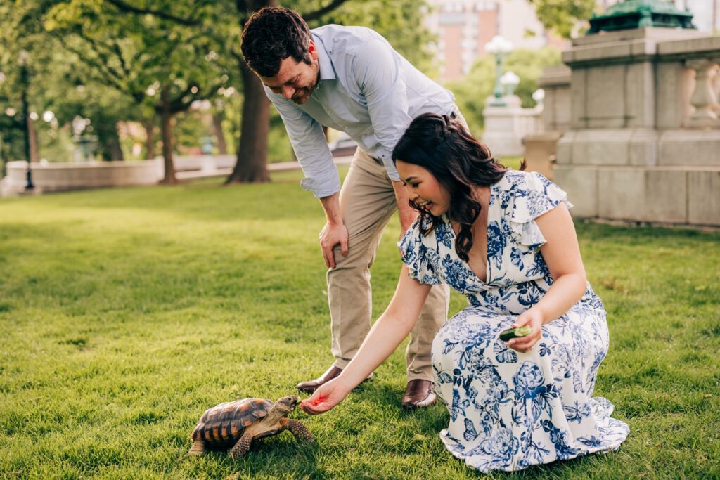 Couple feeding their pet tortoise on the lawn during a relaxed outdoor engagement session.
