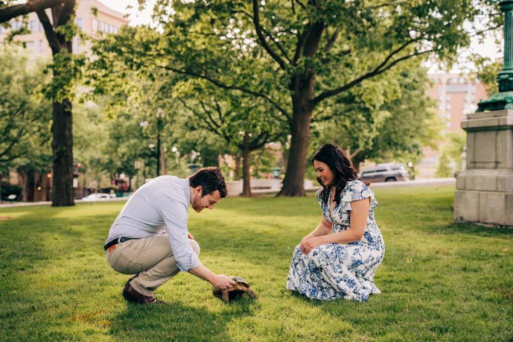 Couple watching their tortoise explore the grass during their downtown Madison engagement photos.
