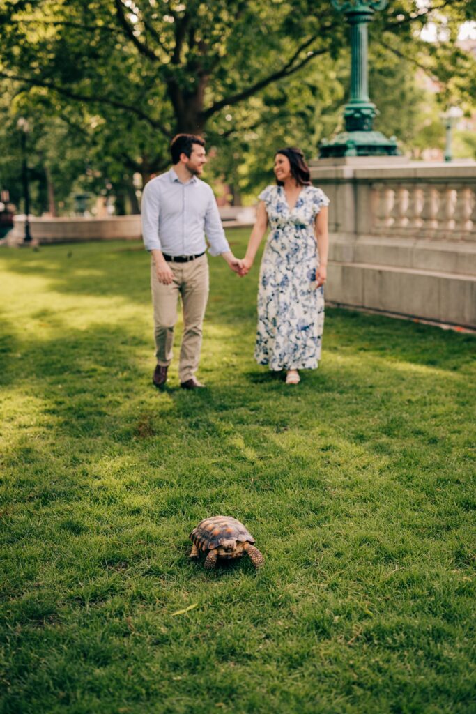 Engaged couple walking hand in hand through a park while their pet tortoise explores the grass ahead.